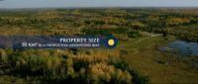 Bild: Treasury Metals mit Kaufempfehlung und im Exklusivinterview!