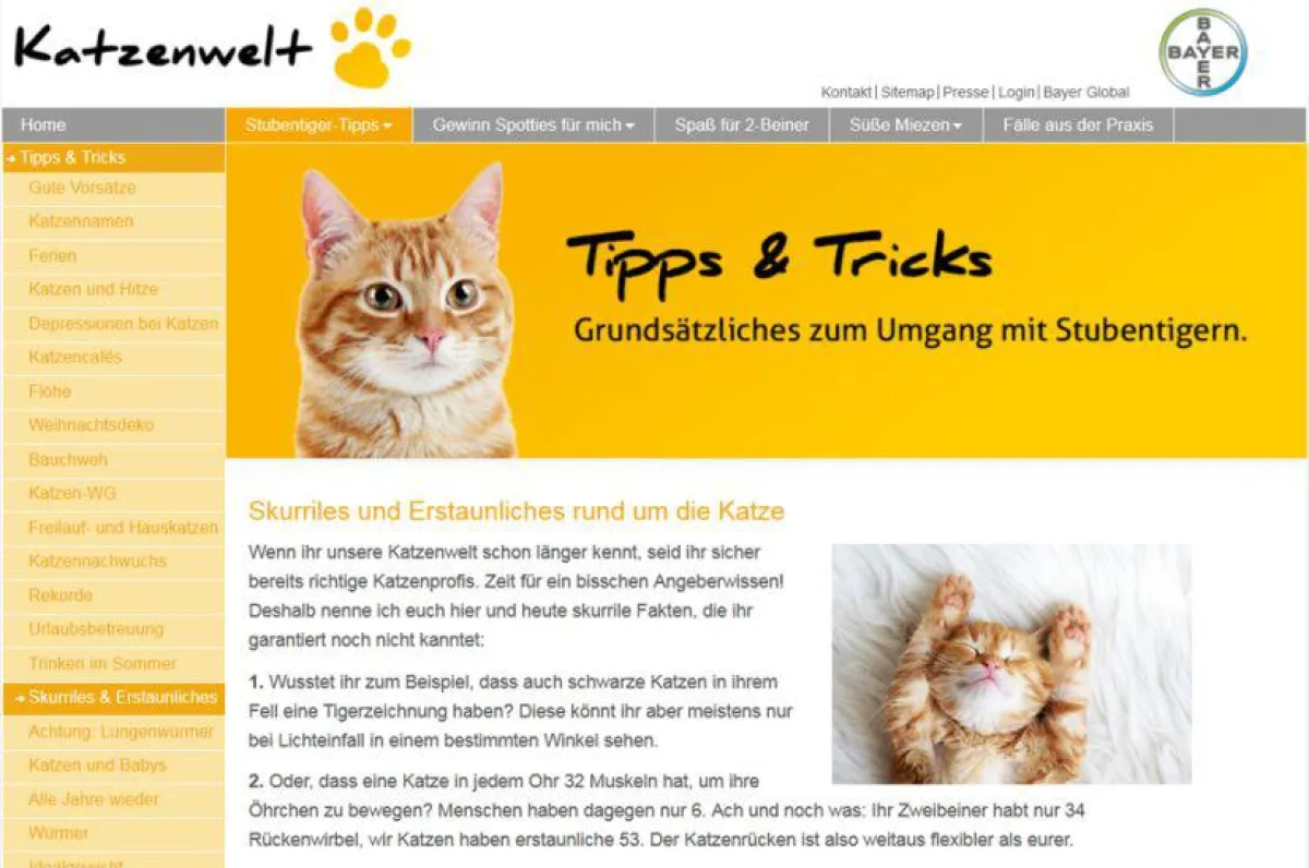 Die Katzenwelt von Bayer bietet beste Unterhaltung