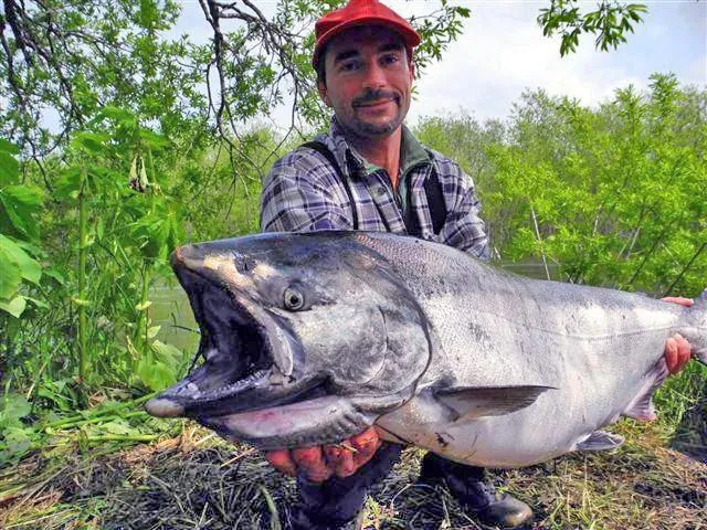 Bild: Kamtschatkareisen 2011 – Königslachs war der Rekord der Saison