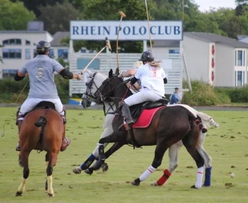 Polo & Wein Festival Düsseldorf 1. - 3. Juni im Rhein Polo Club Bild: Polo & Wein Festival Düsseldorf 1. - 3. Juni im Rhein Polo Club