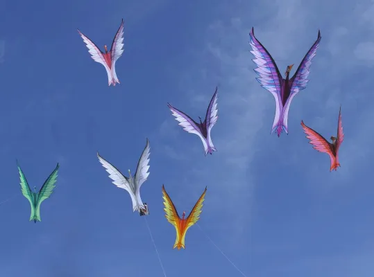 Bild: Das Internationale Drachenfest Berlin/Brandenburg im Volkspark Potsdam am 07. und 08. September 2019
