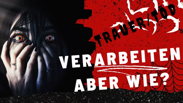 Bild: "VanVita.de: Ein Portal für Transformation und Lebensfreude"