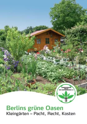 Bild: „Wie viel kostet ein Kleingarten?“ Der Faktencheck war zwar gut gemeint, aber nicht gut gemacht.