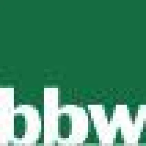 Bild: Erfolgreicher Tag der offenen Tür an der bbw Hochschule