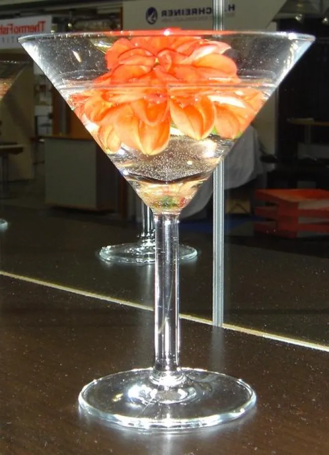 Kundentag der TQU Akademie mit Cocktail-Party am 13.September 2007