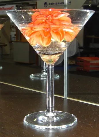 Herbst-Highlight der TQU Akademie – Kundentag am 13. September 2007 Bild: Herbst-Highlight der TQU Akademie – Kundentag am 13. September 2007