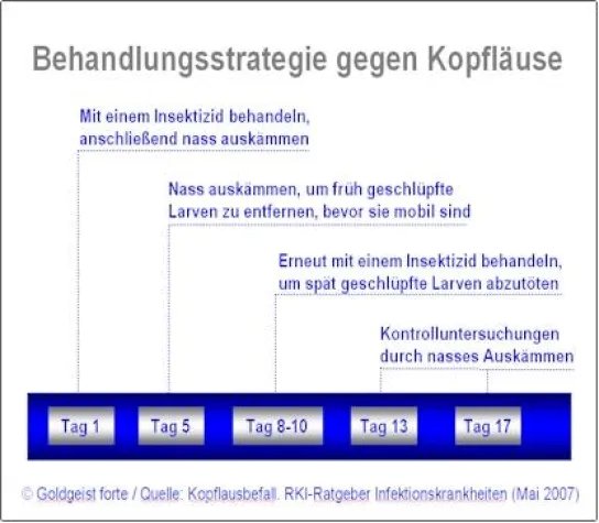 Bild: Kopfläuse bei Kindern erfordern Konsequenz: Laus-Eier (Nissen) mit Spülung auskämmen