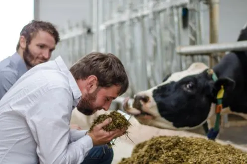 RegioAgrar Weser-Ems 2016: Digitale Futtermanagement-Lösung öffnet neue Optionen in der Milchviehhaltung Bild: RegioAgrar Weser-Ems 2016: Digitale Futtermanagement-Lösung öffnet neue Optionen in der Milchviehhaltung
