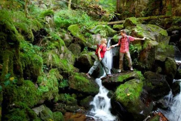 Bild: Zweitälersteig erneut als Qualitätsweg ausgezeichnet