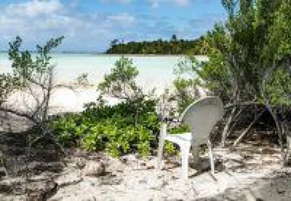 TBA21-Academy kuratiert hochkarätige Konferenz zum Schutz der Ozeane im Bonner Kunstmuseum Bild: TBA21-Academy kuratiert hochkarätige Konferenz zum Schutz der Ozeane im Bonner Kunstmuseum