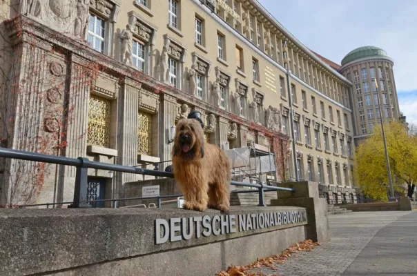 Bild: Fine vom Sonnenblumenhof in der Nationalbibliothek