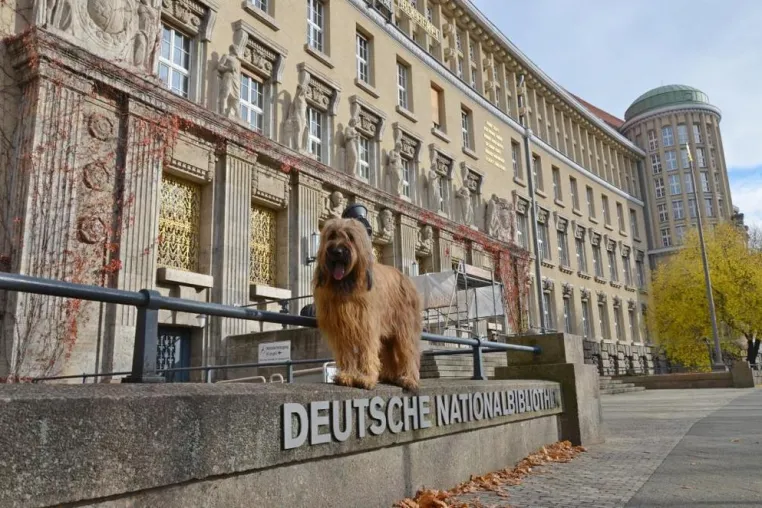 Bild: Fine vom Sonnenblumenhof in der Nationalbibliothek