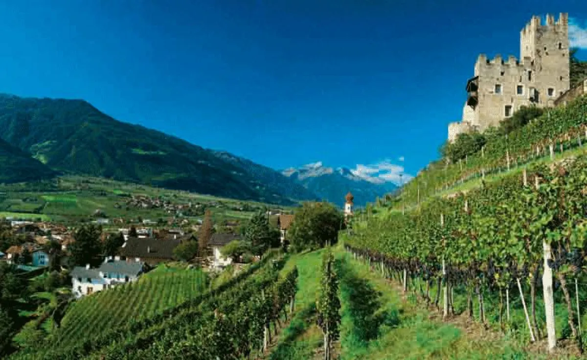 Naturns in Südtirol wird im Herbst zur Hochburg für Weinkenner und Gourmets (Foto: TV Naturns)