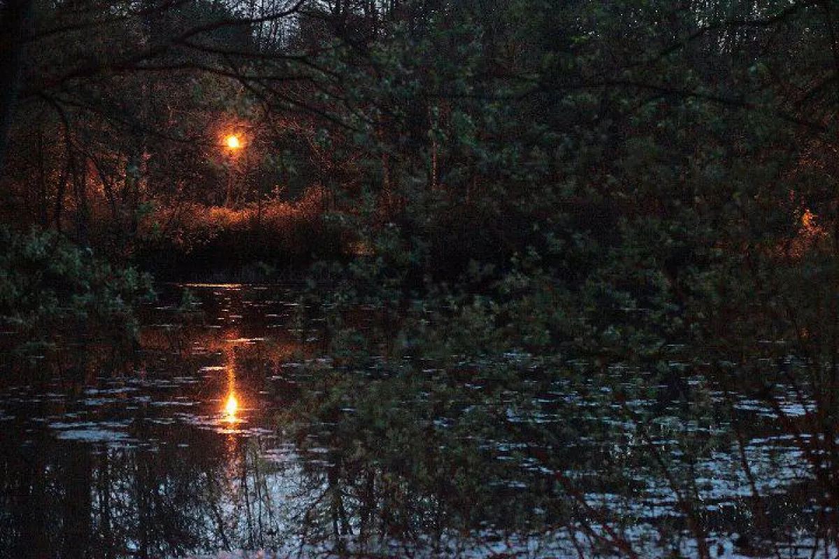 Foto: Peggy Kindermann-Weber