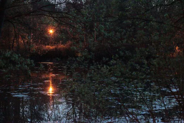 Nichts für Feiglinge – Nachtwanderung mit der erleb-bar Bild: Nichts für Feiglinge – Nachtwanderung mit der erleb-bar