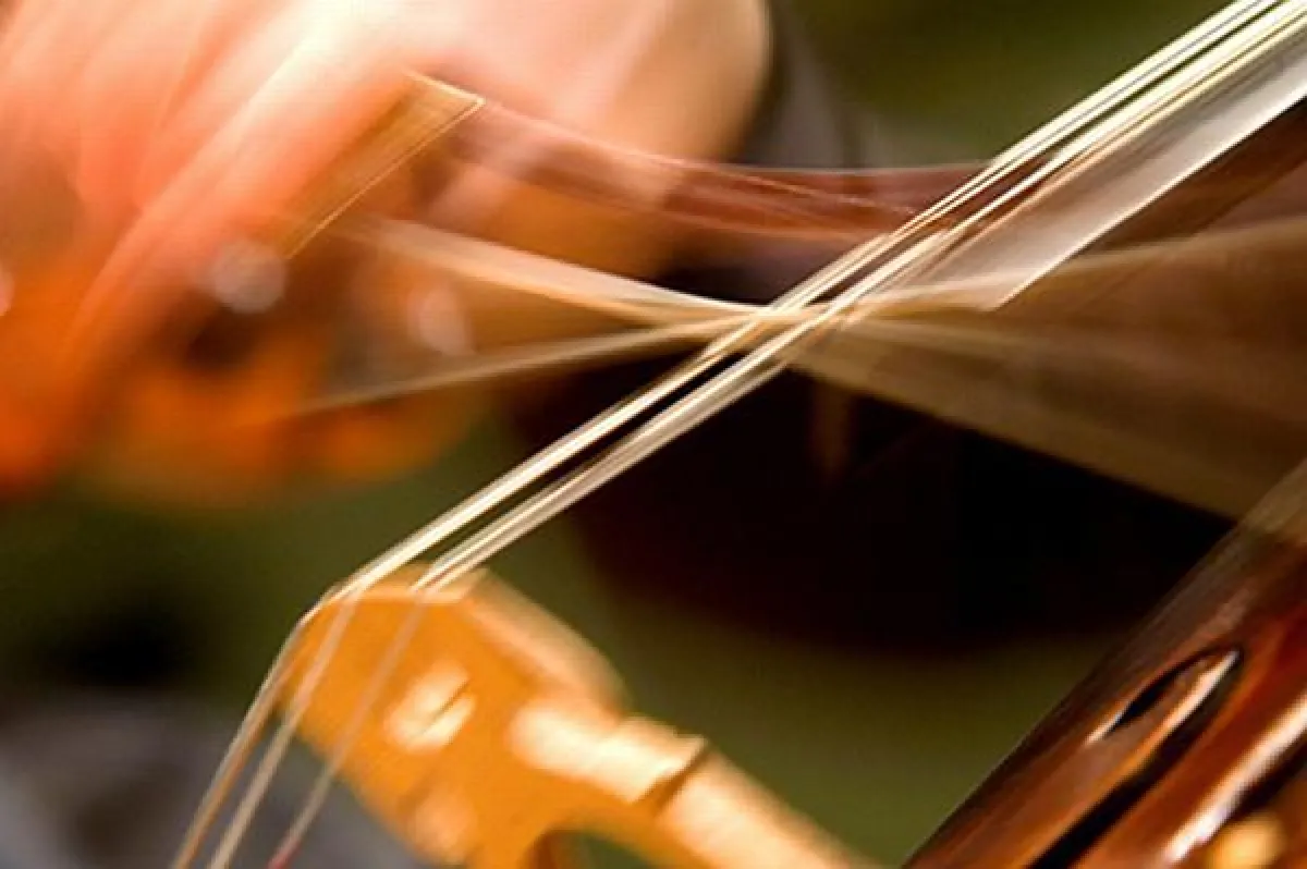 Wie spannend ein modernes Musikstudium sein kann, zeigt das Klassikforum des Vorarlberger Landeskonservatoriums bei der „My Music“-Expo in Friedrichshafen. (Foto: http://flickr.com/photos/letcombe/237