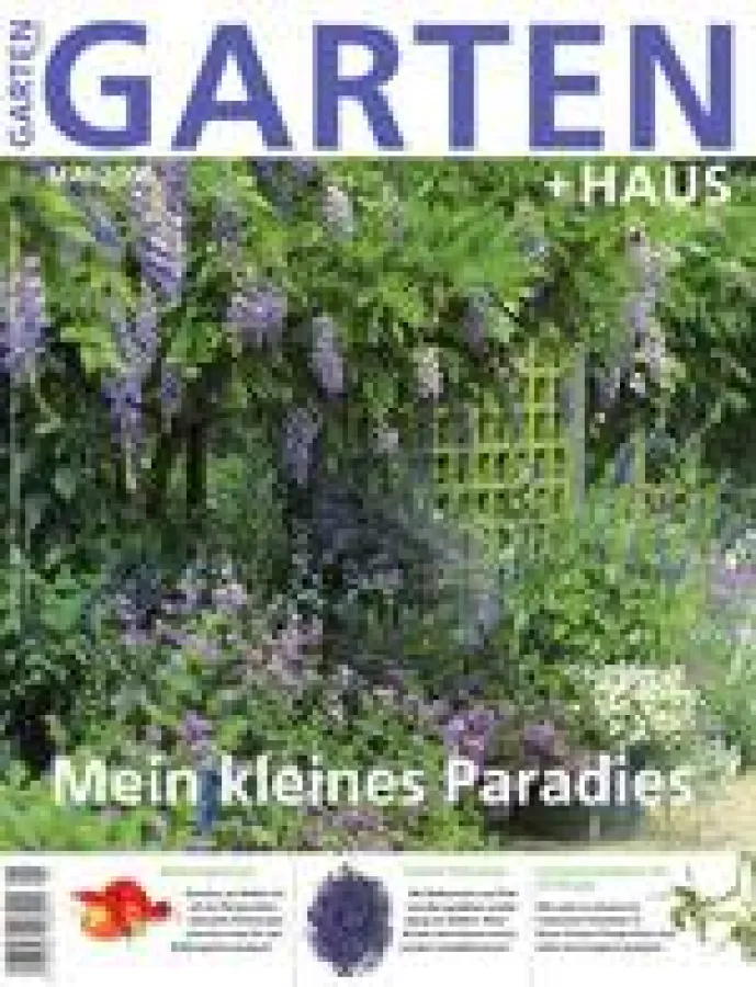 Cover der Mai-Ausgabe