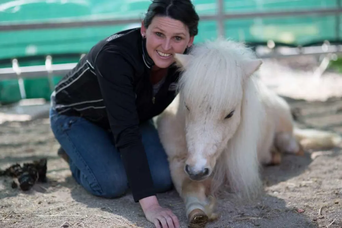 Jutta Einhaus mit ihrer kleinsten Mitarbeiterin: Minishetty Sissi
