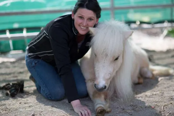 Die Zusammenarbeit mit Pferden stärkt Kinder und Jugendliche Bild: Die Zusammenarbeit mit Pferden stärkt Kinder und Jugendliche