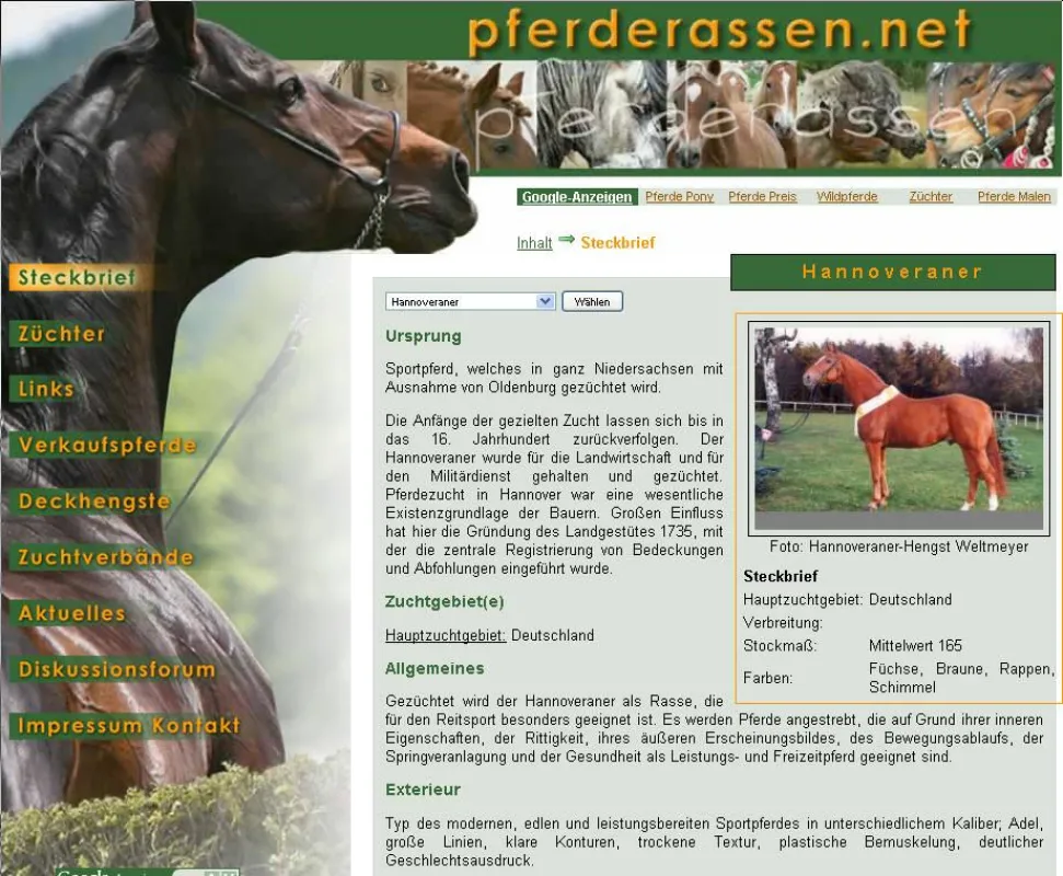 Hannoveraner-Special bei Pferderassen.net