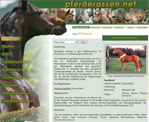 Hannoveraner-Special bei Pferderassen.net Bild: Hannoveraner-Special bei Pferderassen.net