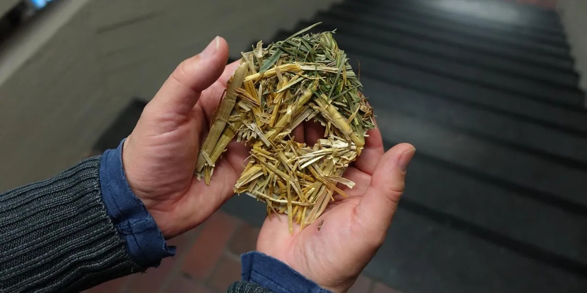 Symbolbild Wohnungslosigkeit