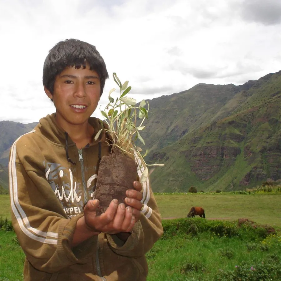 Klimaschutz in aller Munde: Die Reisebranche sollte ihre Verantwortung nicht auf den Kunden abschieben. COLUMBUS Reisen pflanzt für jeden Passagier einen Baum.