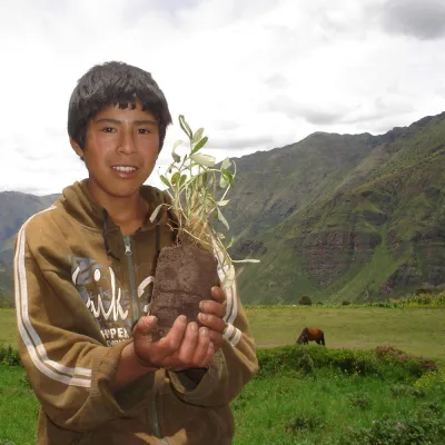 Bild: COLUMBUS Reisen steht zur Verantwortung fürs Klima: 1 Flugpassagier – 1 Euro – 1 Baum