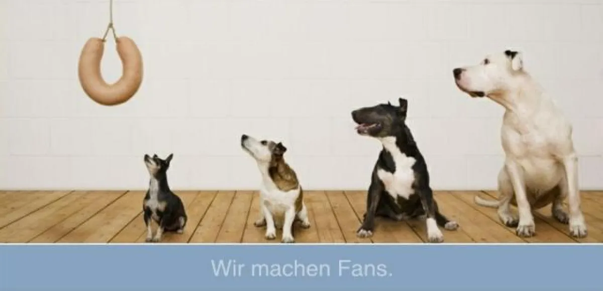 proteco - Wir machen Fans!