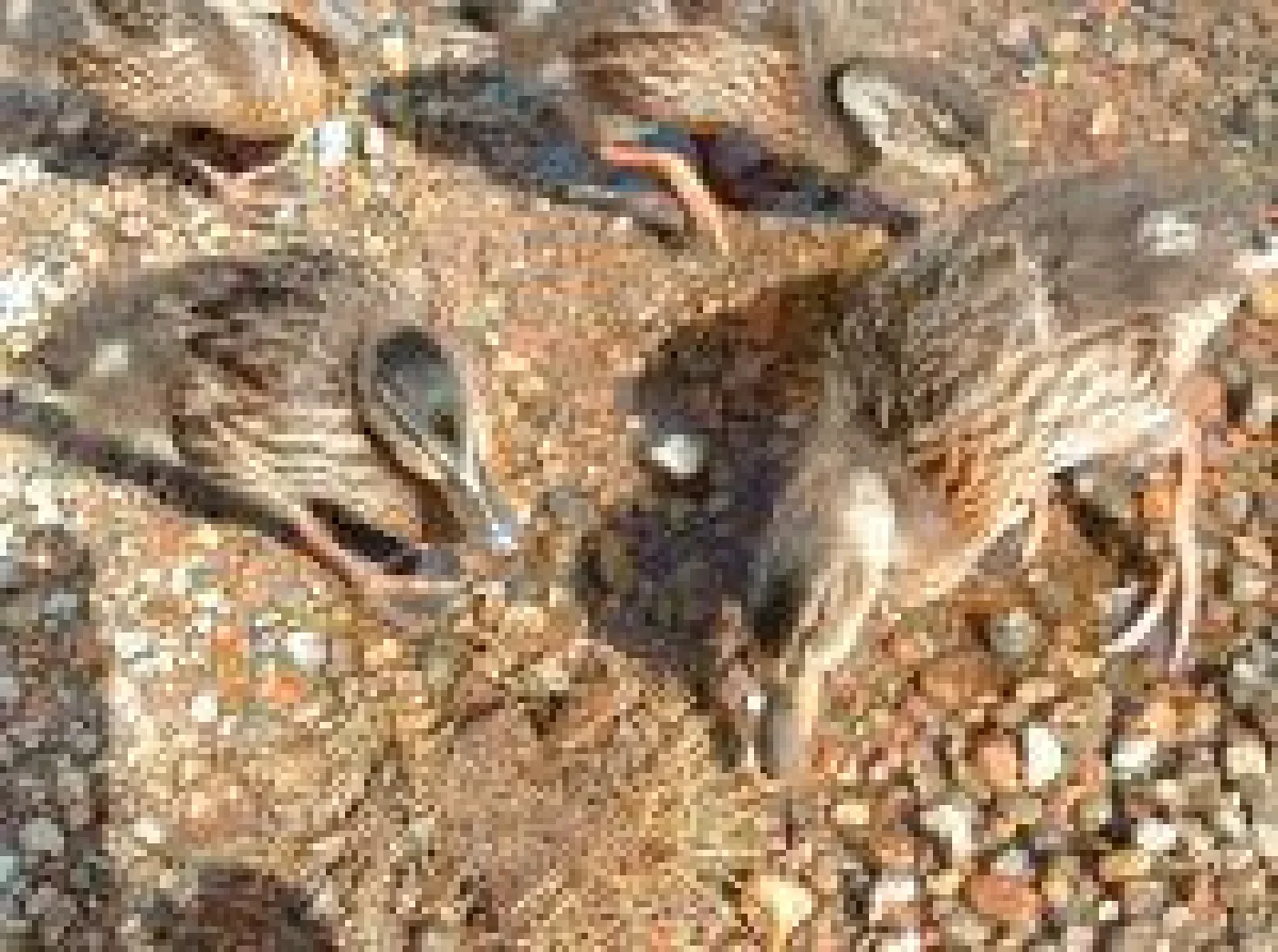 Lernen macht Freude mit www.kraft-für-kids.de