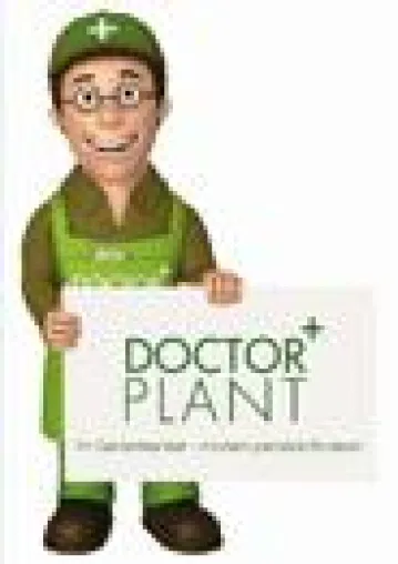 Bild: Der Mistelzweig in der Weihnachtszeit – von DoctorPlant erklärt
