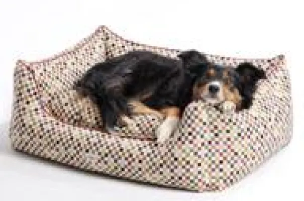 Bild: Schöner wohnen mit Hund - Kollektion Sanibel von Dogs in the City