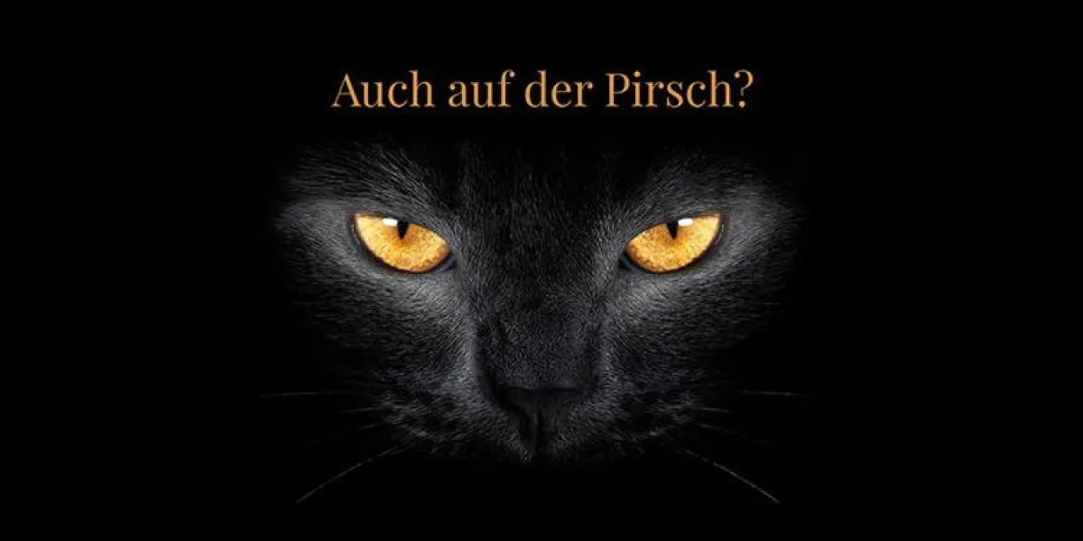 Laudert auf der dmexco 2018