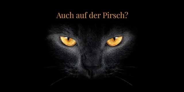 Laudert auf der dmexco 2018 Bild: Laudert auf der dmexco 2018