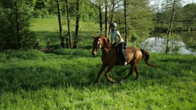 Bild: Galoppieren? Nein danke! 