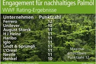 Engagement für nachhaltiges Palmöl Bild: Engagement für nachhaltiges Palmöl