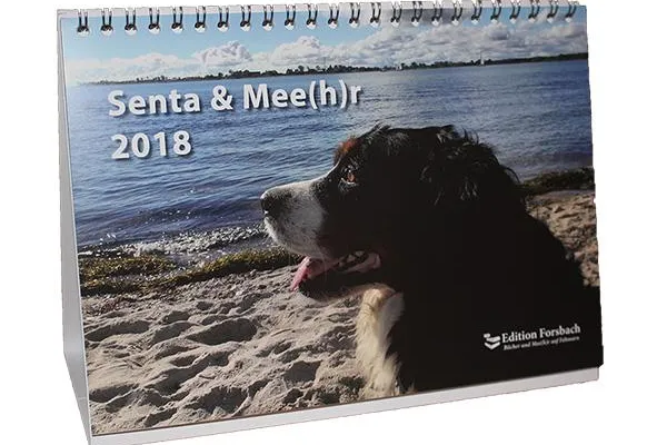 Bild: Senta & Mee(h)r – eine Berner Sennenhündin auf der Ostseeinsel Fehmarn