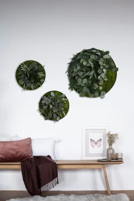 Bild: Runde Wandgärten für ihr Wohnzimmer