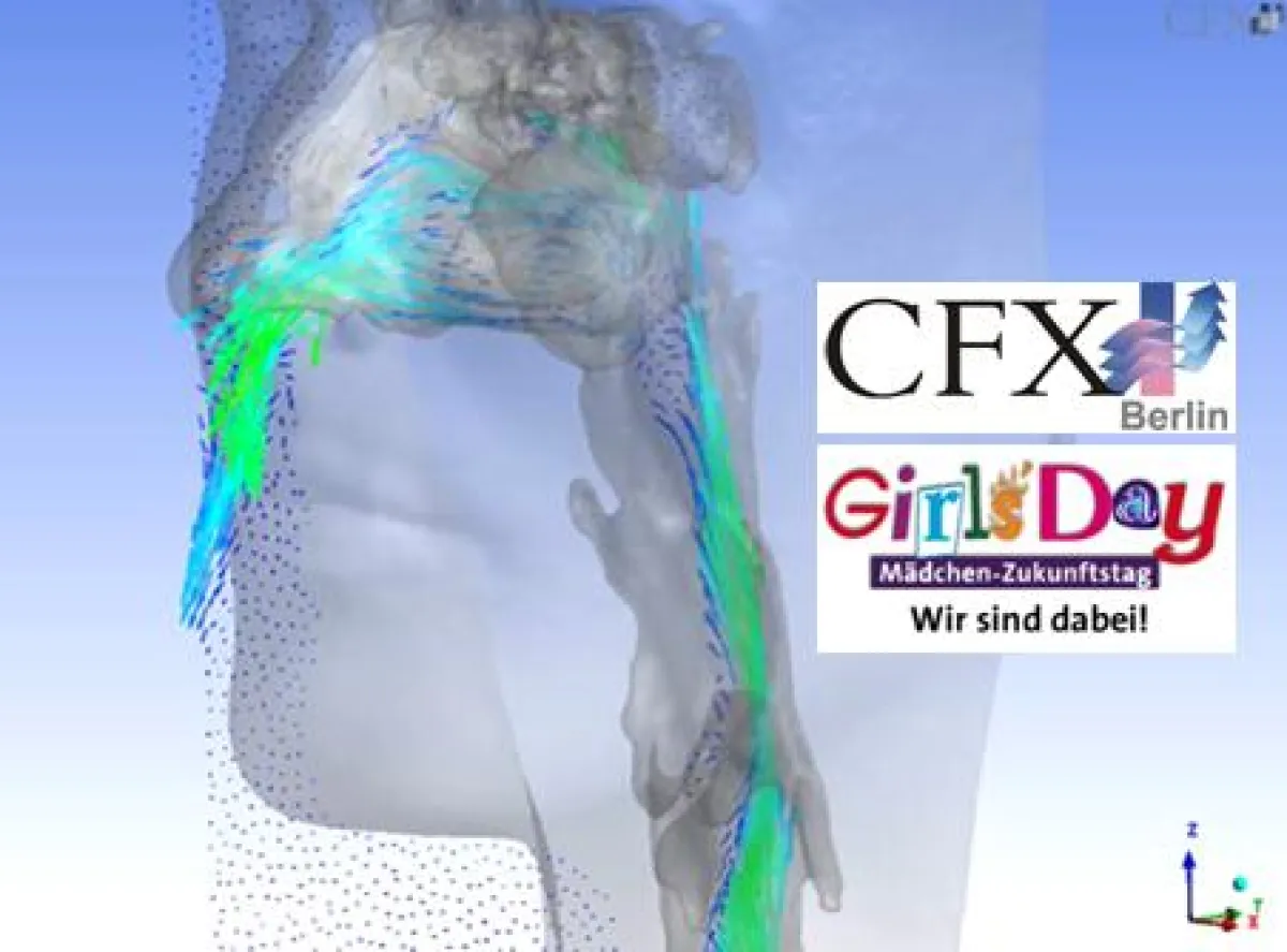 Simulation der menschlichen Atmung - am Girls'Day zeigt CFX Berlin interessierten Schülerinnen die Welt der Strömungssimulation