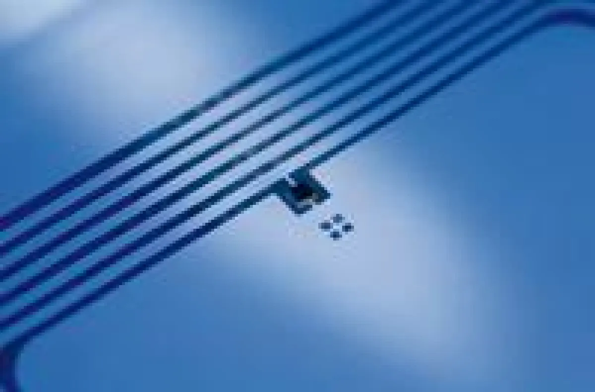 RFID-Chips sind oft nur wenige Quadratmikrometer klein. Foto: Delo