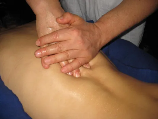 Bild: 1 Jahr „Heilinsel Lindau“ in Lindau im Bodensee - ein Konzept was sich bewährt hat