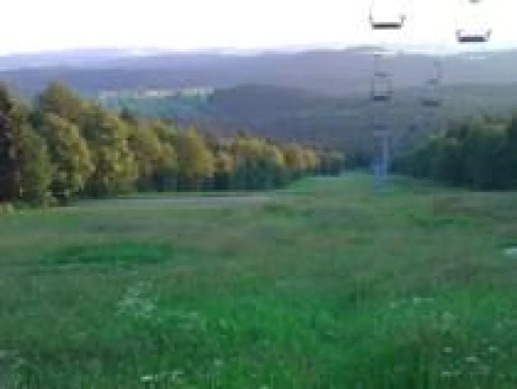 Wandern im Bayerischen Wald