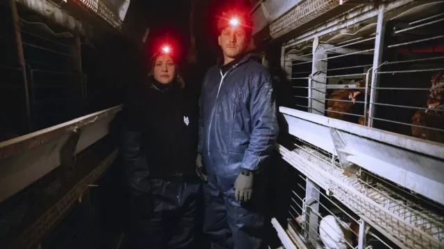 Bild: Content Creator Malte Zierden und ANINOVA retten Hühner aus Osterei Käfighaltung
