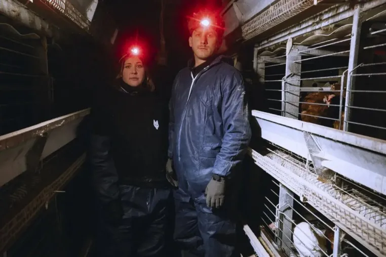 Bild: Content Creator Malte Zierden und ANINOVA retten Hühner aus Osterei Käfighaltung