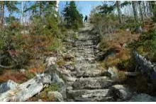 Bild: Wandern im Bayerischen Wald der Goldsteig im Wandel der Jahreszeiten