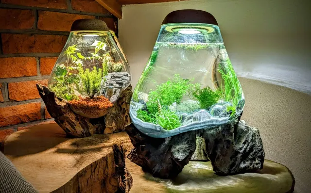 Eröffnung der Flaschengarten Manufaktur Gaia Oasis in St. Georgen im Schwarzwald Bild: Eröffnung der Flaschengarten Manufaktur Gaia Oasis in St. Georgen im Schwarzwald