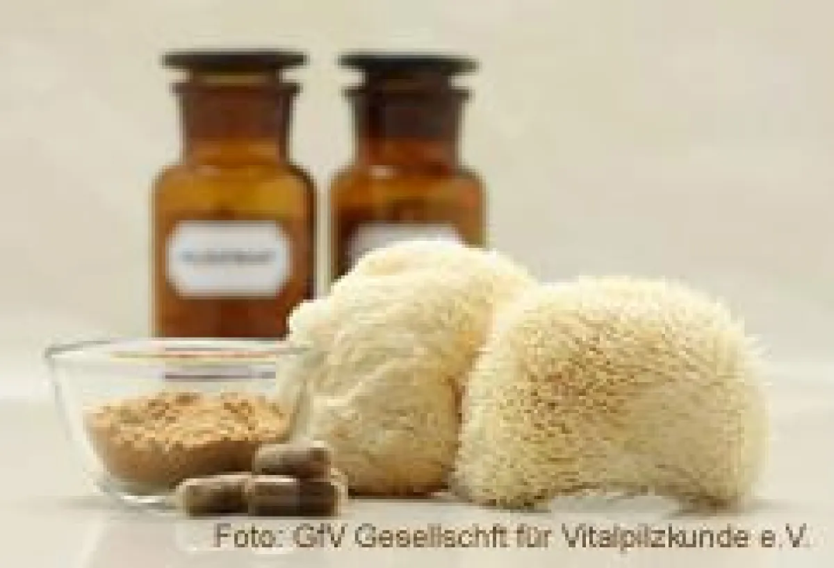 Foto: Gesellschaft für Vitalpilzkunde e.V.