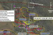 Bild: Maple Gold Mines erweitert hochgradige Vererzung der Nika Zone