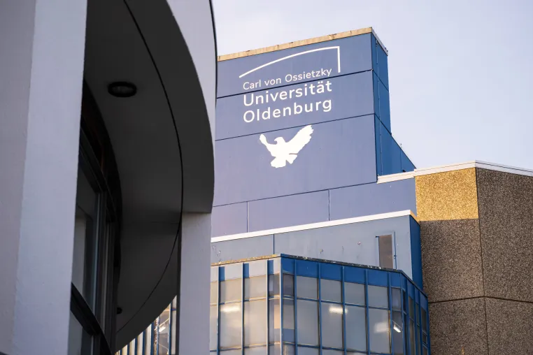 40 Jahre Pionierarbeit: Wie eine Studentin aus Oldenburg zur Jobsharing-Pionierin wurde Bild: 40 Jahre Pionierarbeit: Wie eine Studentin aus Oldenburg zur Jobsharing-Pionierin wurde