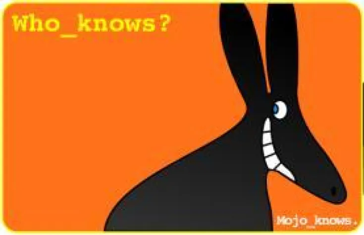 Bild: MojoKnows feiert 4-jähriges Bestehen mit neuer Internetseite